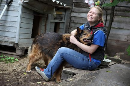 Clasificarea cele mai bune adăposturi de animale în cazul în care câinii și pisicile sunt bine