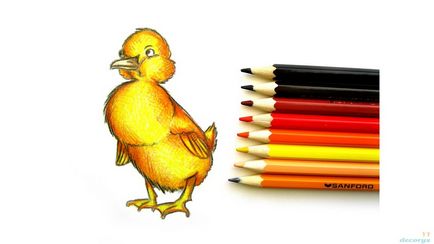 Desen cu creioane colorate - un blog despre desen