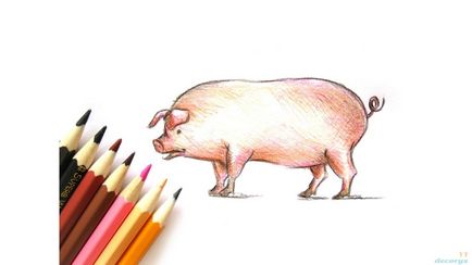 Desen cu creioane colorate - un blog despre desen