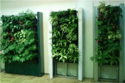 Rotoverter, aeroponics