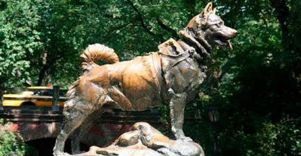 Cele mai cunoscute monumente dedicate câinilor, snupiki - site-ul despre câini