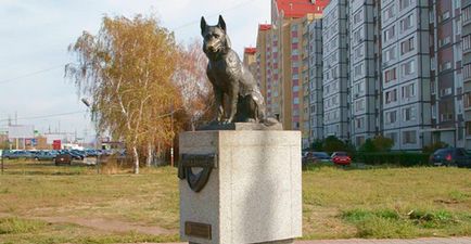 Cele mai cunoscute monumente dedicate câinilor, snupiki - site-ul despre câini