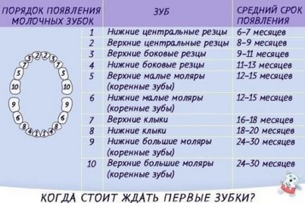 Cât de mulți dinți pentru copii ar trebui să fie numărul de dinți la copii