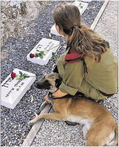 Câinii care deservesc în IDF (IDF) Câini pentru serviciul FIL