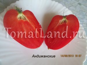 soiuri roz de tomate
