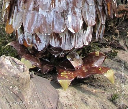 Owl de sticle de plastic - temele