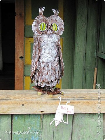 Owl de sticle de plastic - temele