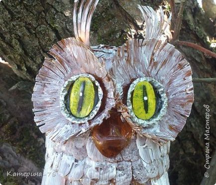 Owl de sticle de plastic - temele