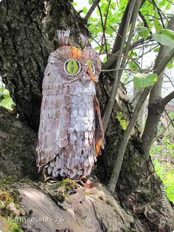 Owl de sticle de plastic - temele (plastic) Owl de sticle de plastic - temele
