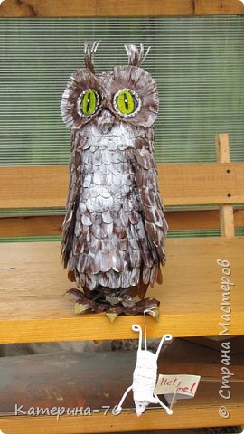 Owl de sticle de plastic - temele