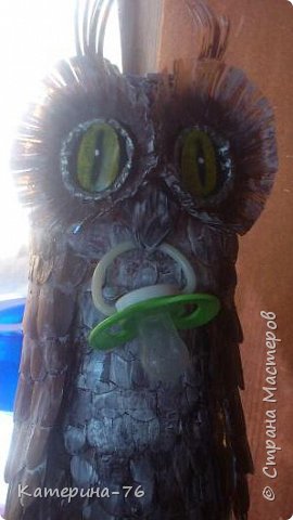 Owl de sticle de plastic - temele