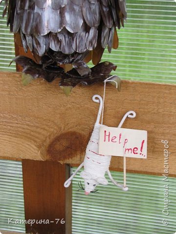 Owl de sticle de plastic - teme (a) Owl de sticle de plastic - temele