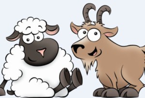 Horoscopul compatibilitatii dintre oi și oile sunt căsătoriți