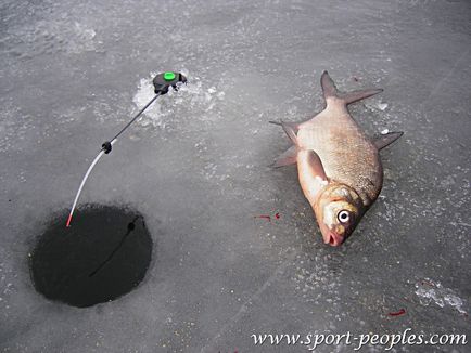 Pescuit sportiv 1