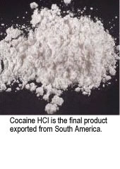 CNS stimulente, cocaină și crack - Dependenta