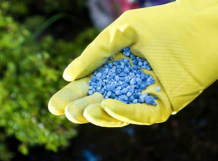 Superfosfat și cum să-l aplice în grădină
