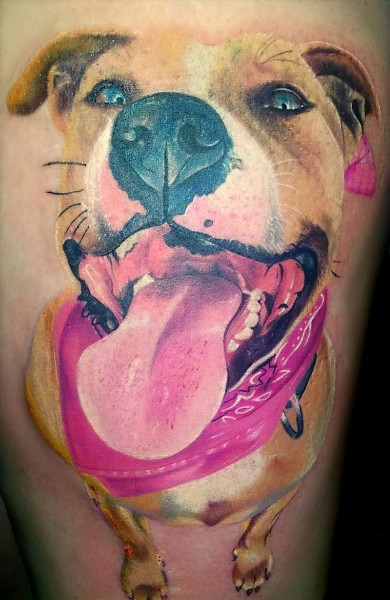 Tatuaj câine - ceea ce înseamnă schițe tatuaj și fotografii