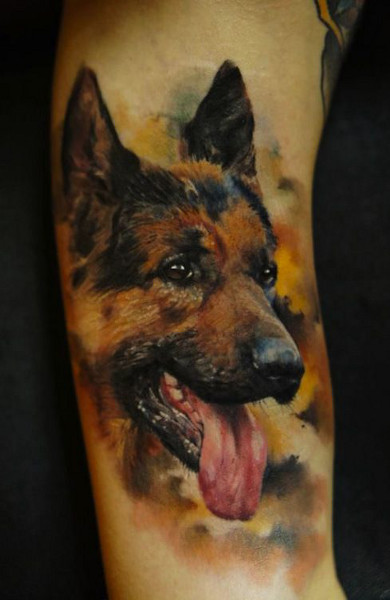 Tatuaj câine - ceea ce înseamnă schițe tatuaj și fotografii