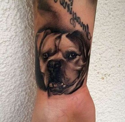 Tatuaje de valoare câine tatuaj, 30 fotografii, schițe
