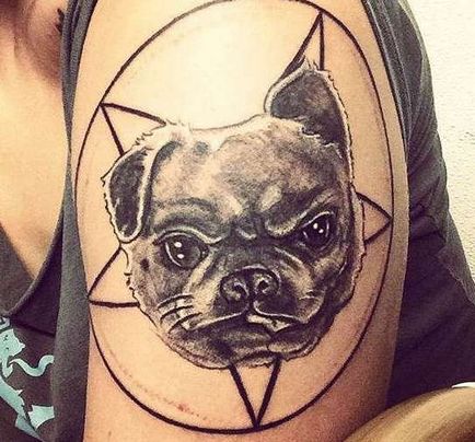 Tatuaje de valoare câine tatuaj, 30 fotografii, schițe