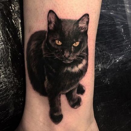 tatuaj Cat pentru femei 100 cele mai frumoase opțiuni pentru a fotografia