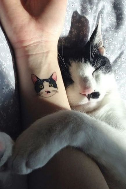 tatuaj Cat pentru femei 100 cele mai frumoase opțiuni pentru a fotografia