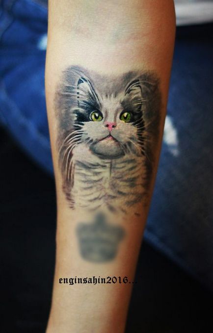 tatuaj Cat pentru femei 100 cele mai frumoase opțiuni pentru a fotografia