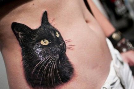 tatuaj Cat pentru femei 100 cele mai frumoase opțiuni pentru a fotografia