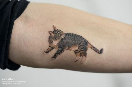 tatuaj Cat pentru femei 100 cele mai frumoase opțiuni pentru a fotografia