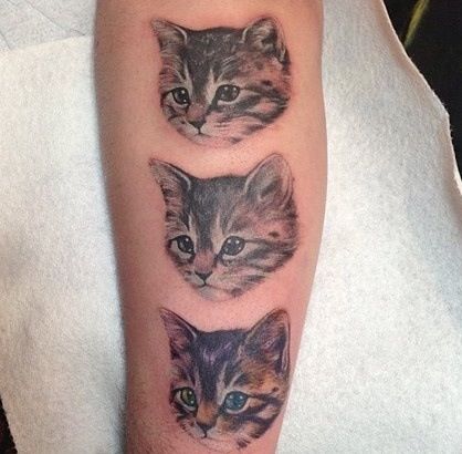 tatuaj Cat pentru femei 100 cele mai frumoase opțiuni pentru a fotografia