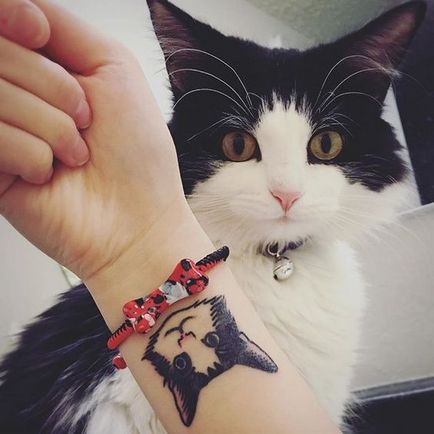 tatuaj Cat pentru femei 100 cele mai frumoase opțiuni pentru a fotografia