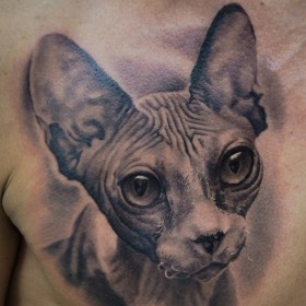 Valoarea pisica tatuaj - un simbol al sensul pentru fete si baieti