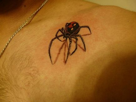 Tatuaj - importanta păianjen fete, băieți, în zona