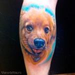 Dog tatuaj sensul fotografii și schițe