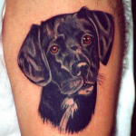 Dog tatuaj sensul fotografii și schițe