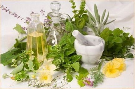 Plante medicinale pentru caderea parului de la orice nevoie de a bea ceaiuri de plante, comentarii rețete