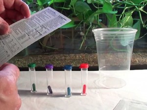 Ingrasaminte pentru plante de acvariu, cu propriile lor mâini