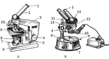 Dispozitivul de microscop și regulile de lucru cu el
