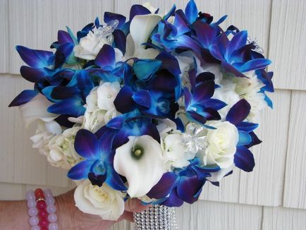 Alegerea unui albastru buchet de flori și cea mai bună combinație de