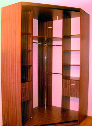 umplere intern pentru dulapuri de a alege interiorul dulapului din hol si dormitor (foto)