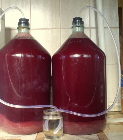 Al doilea vin din tescovină (pulpa), struguri sau mere - reteta