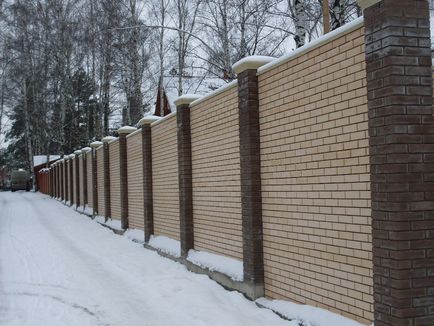 Gard pentru casa privata - care materialul pentru a alege pentru gard - 100 idei fotografie