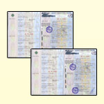 pașaport vehicul de înlocuire (PTS)