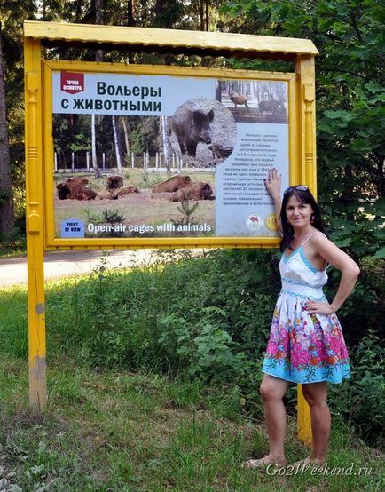 Informații Bialowieza Forest Reserve, ce să vezi, cum se ajunge acolo, în cazul în care să stați, fotografii