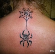 Înțeles tatuaj păianjen sens, istorie, fotografii