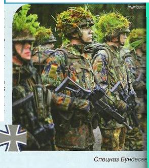 Bundeswehr - armata profesională