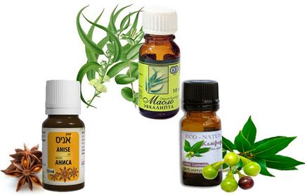Ce se tem de țânțari și mirosuri de plante, insecte repulsive (plante) Ce se tem de tantari si miroase a plante, alifie împotriva insectelor