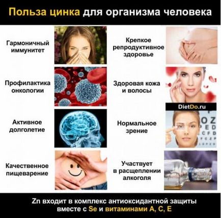 Zincul conținut în orice produse în cantități mari, precum și importanța organismului (găsit) Zincul conținut în orice produse în cantități mari, precum și importanța pentru organism