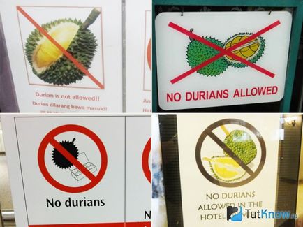 proprietăți utile Durian, rău, calorii, cum să mănânce