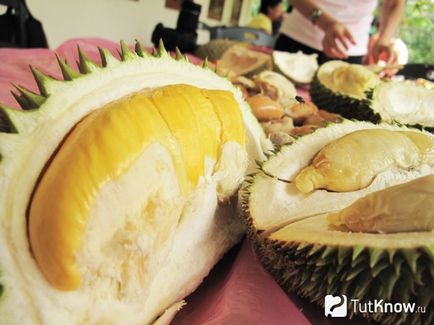 proprietăți utile Durian, rău, calorii, cum să mănânce
